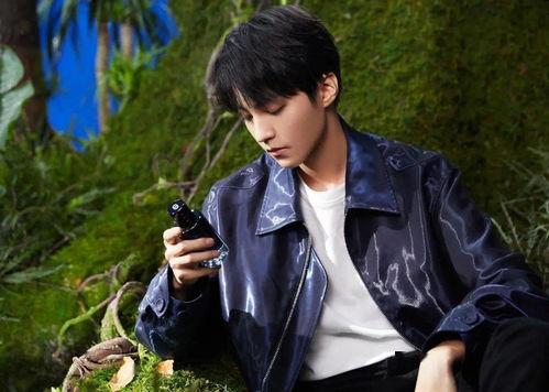 近期娱乐爆料王俊凯视频,娱乐爆料引发网友热议 第2张 近期娱乐爆料王俊凯视频,娱乐爆料引发网友热议 第2张